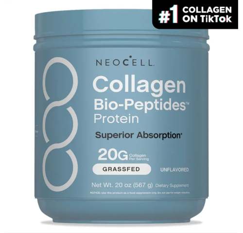 Character:-1条-2025/12/18 16:08:41