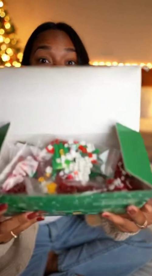 圣诞微型积木亲子拆箱与组装